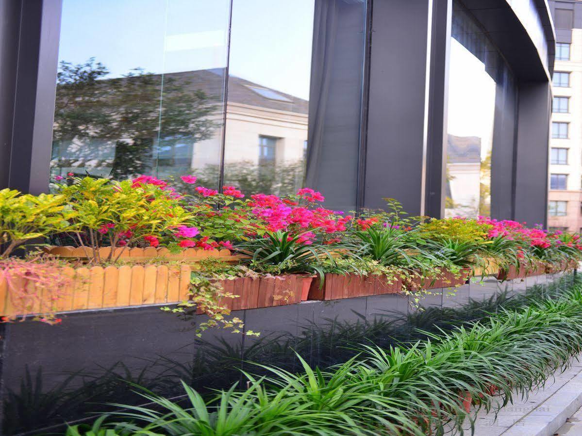 Urban Island Hotel Thượng Hải Ngoại thất bức ảnh